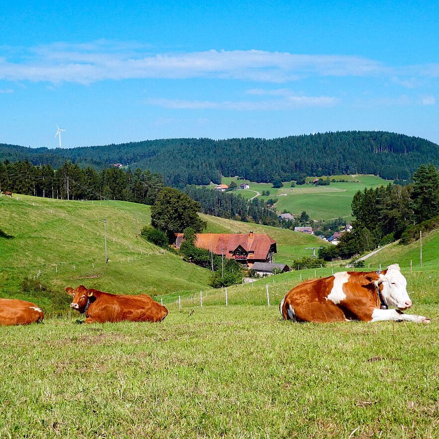 Hub Langenberg Mulp Altenburg 02