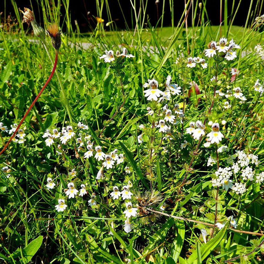 Hub Langenberg Mulp Altenburg 07