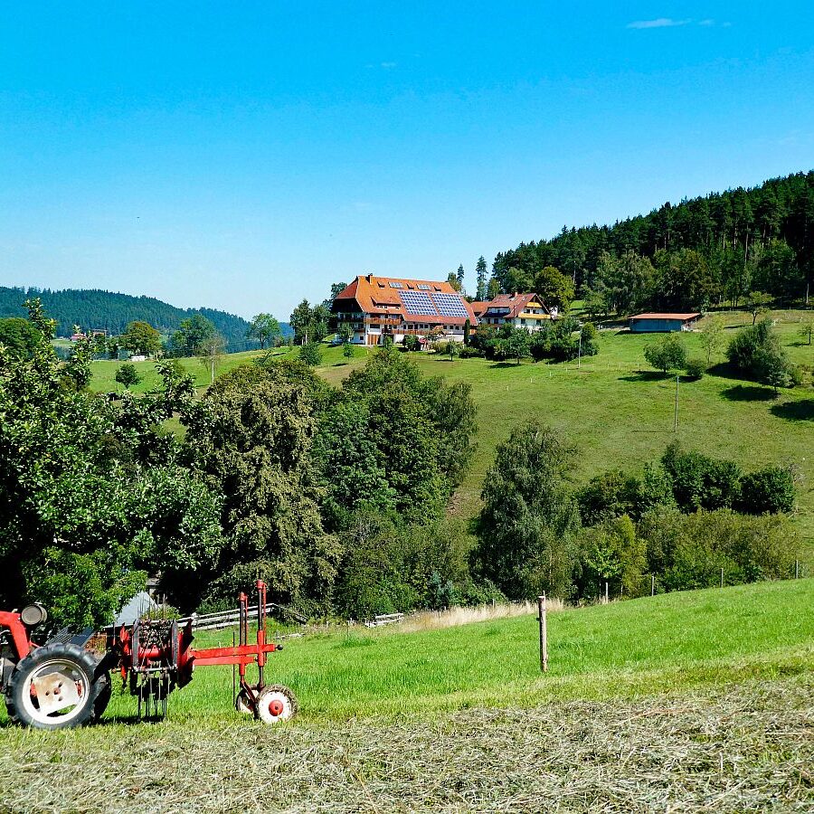 Hub Langenberg Mulp Altenburg 09