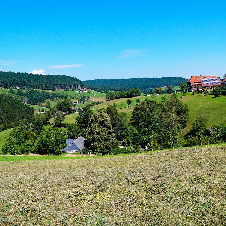 Hub Langenberg Mulp Altenburg 10