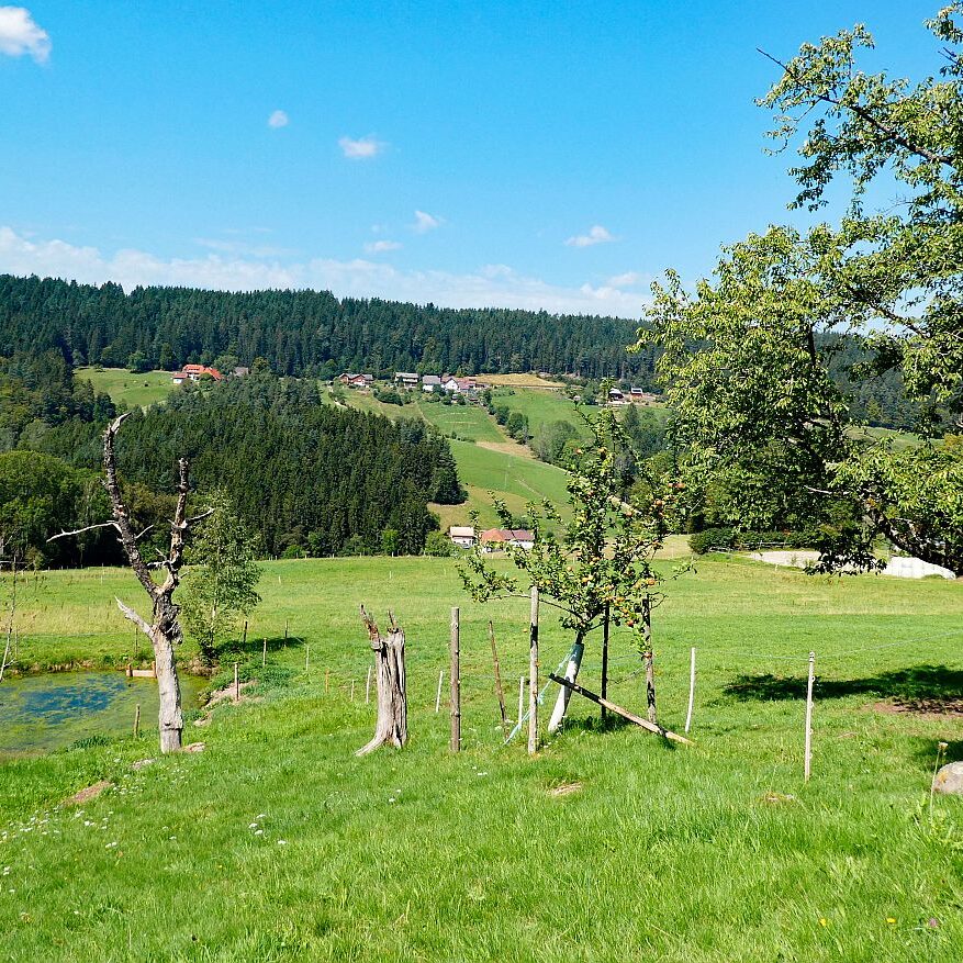 Hub Langenberg Mulp Altenburg 11