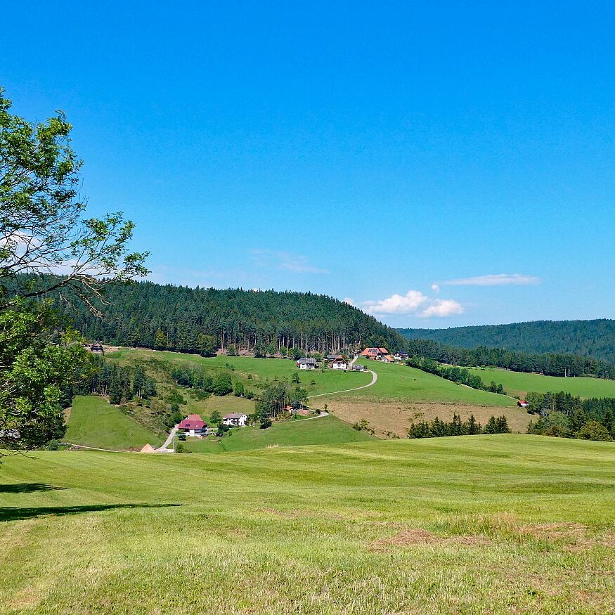 Hub Langenberg Mulp Altenburg 12