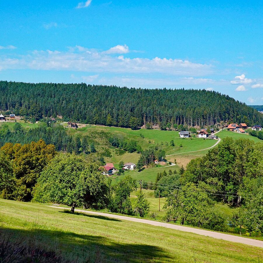 Hub Langenberg Mulp Altenburg 13