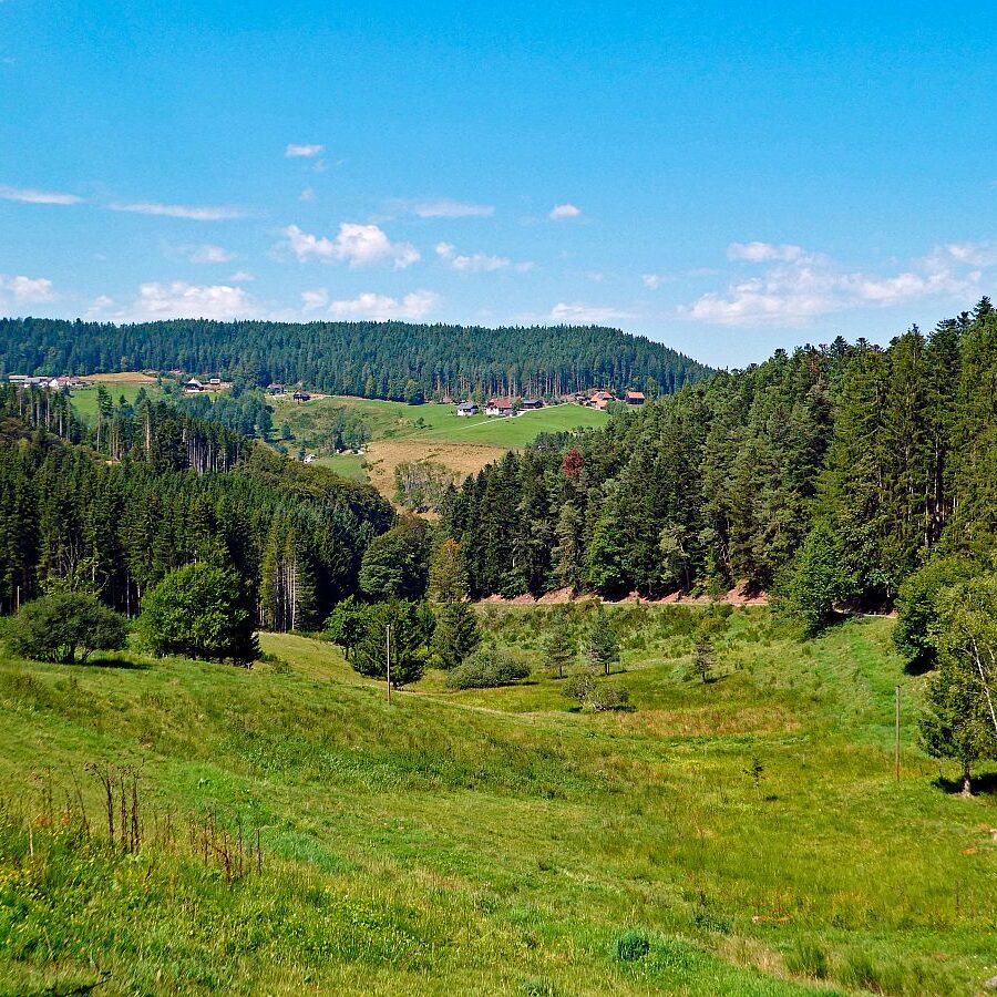 Hub Langenberg Mulp Altenburg 14