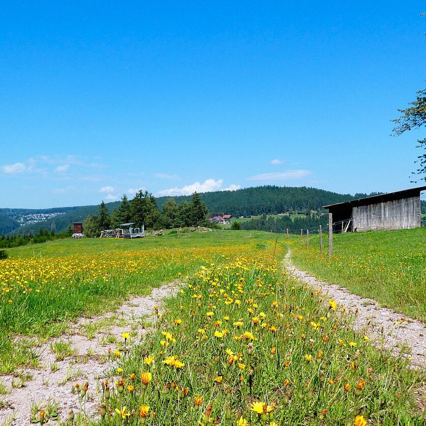 Hub Langenberg Mulp Altenburg 15