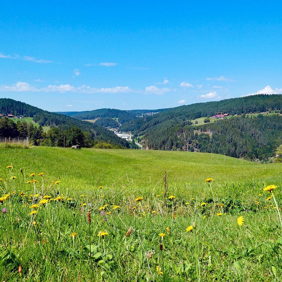 Hub Langenberg Mulp Altenburg 16