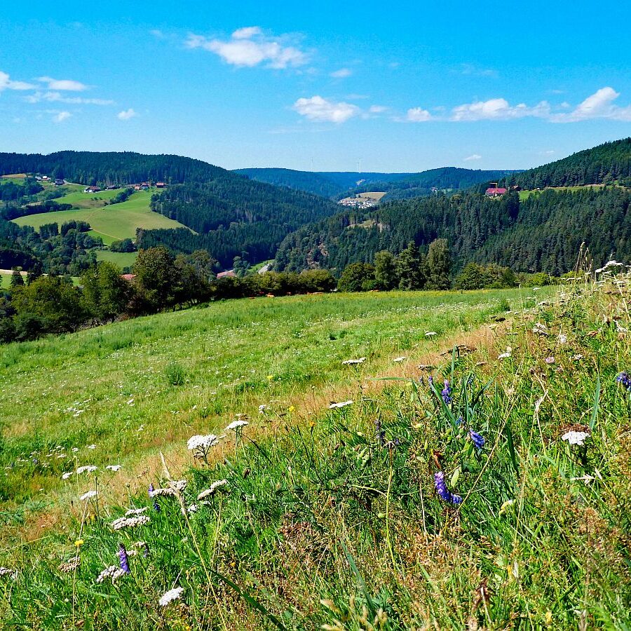 Hub Langenberg Mulp Altenburg 17
