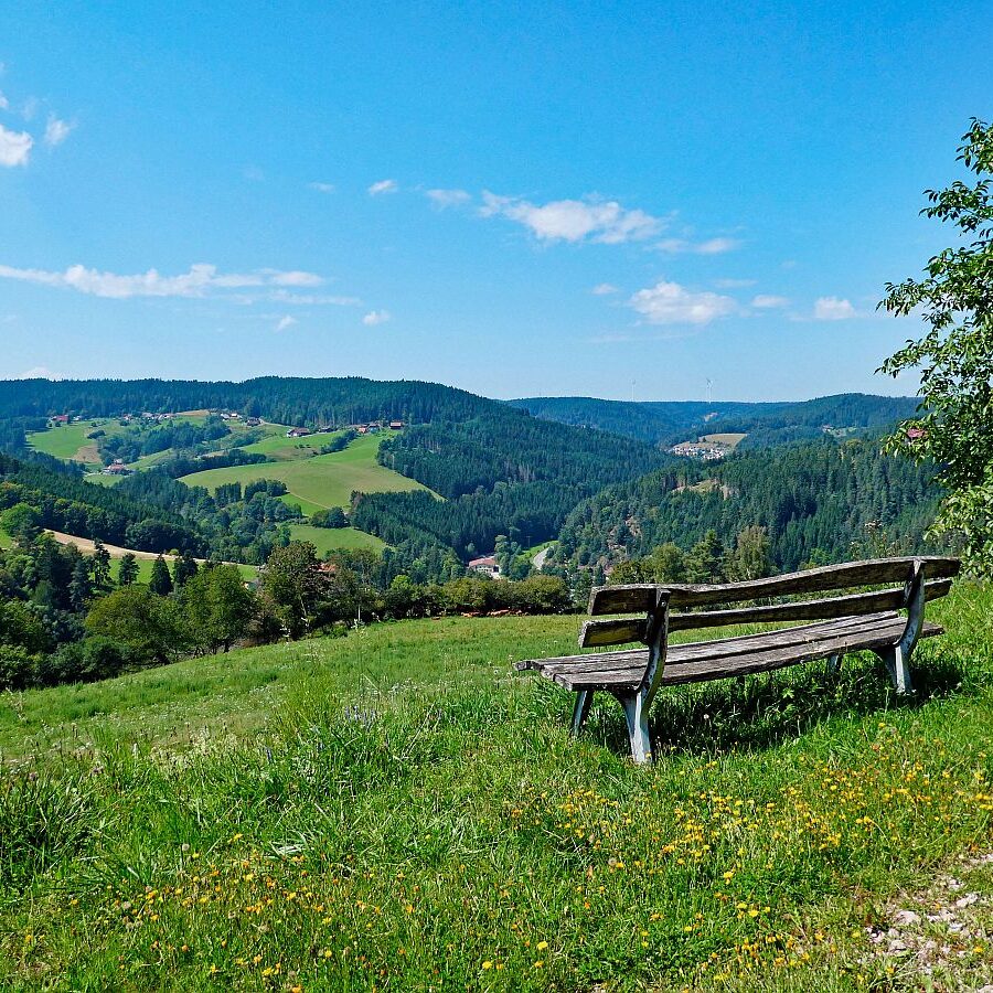 Hub Langenberg Mulp Altenburg 18