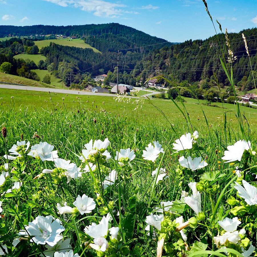 Hub Langenberg Mulp Altenburg 20