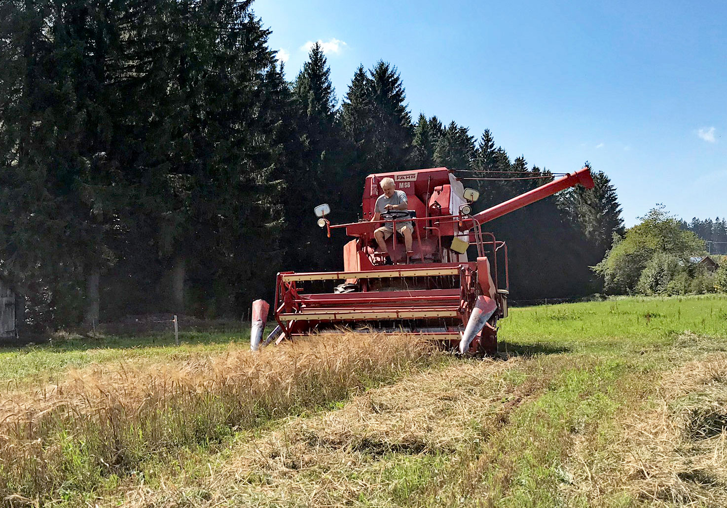 Getreideernte In Gefahr Baden Württemberg Bauern In Bw Bangen Um Ihre Existenz - 5picr99
