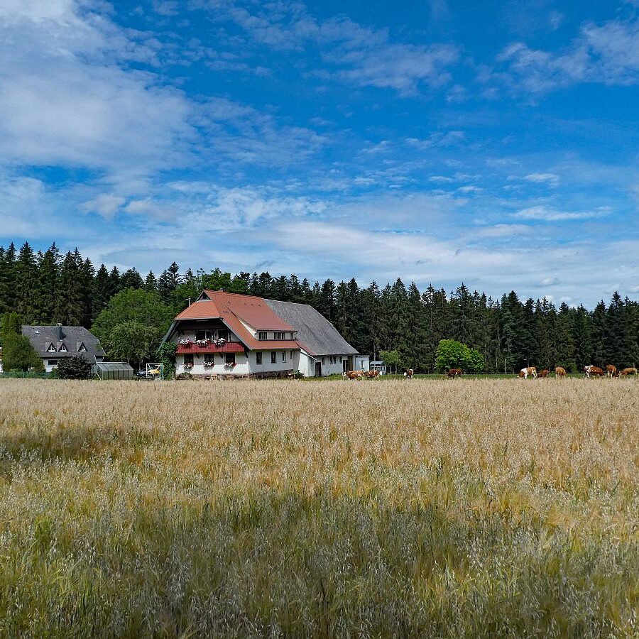 Reibehof Bremenloch Lauterbacher Wandersteig 01