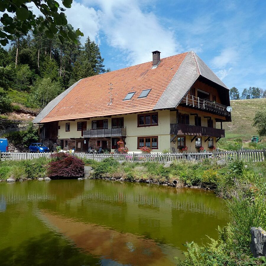 Reibehof Bremenloch Lauterbacher Wandersteig 11
