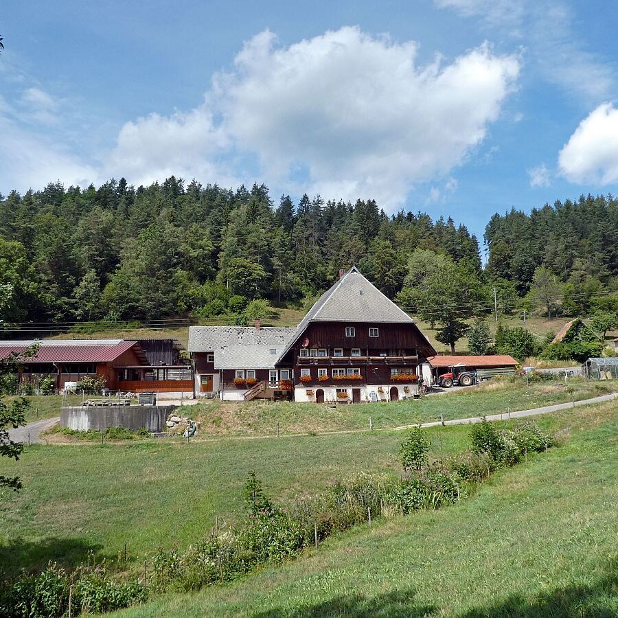 Reibehof Bremenloch Lauterbacher Wandersteig 12