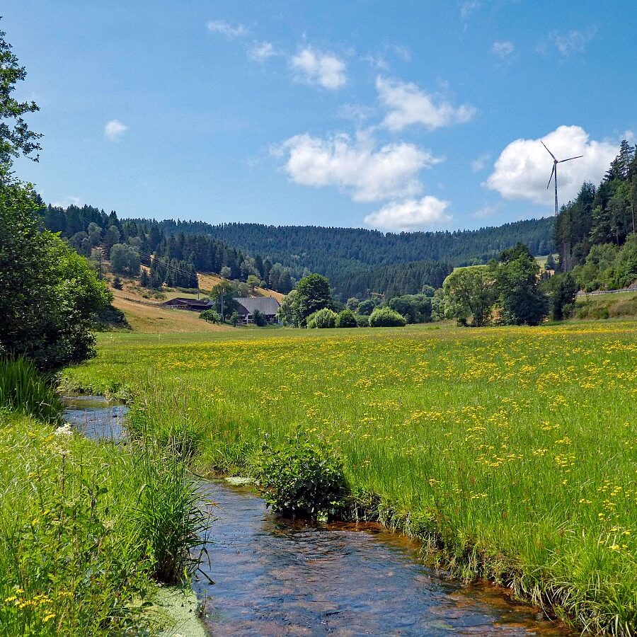 Schützen Kohlwald 01