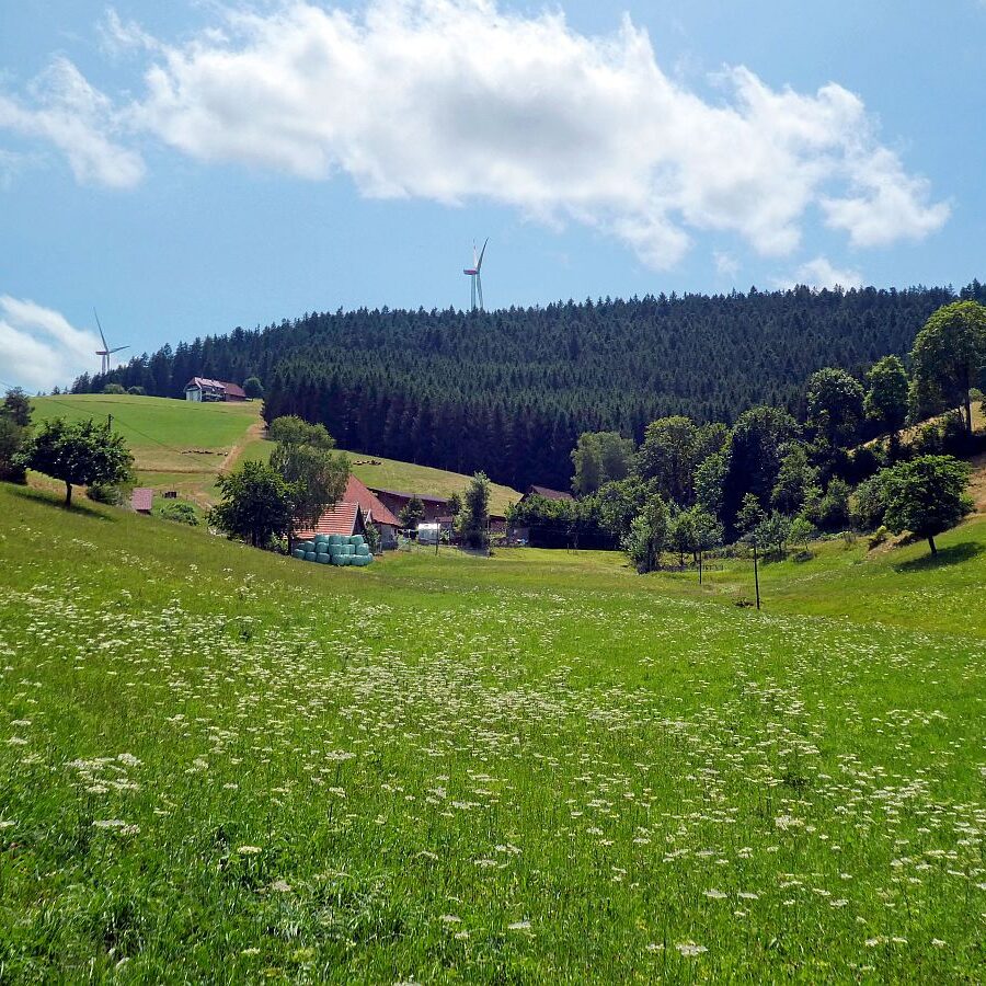 Schützen Kohlwald 02