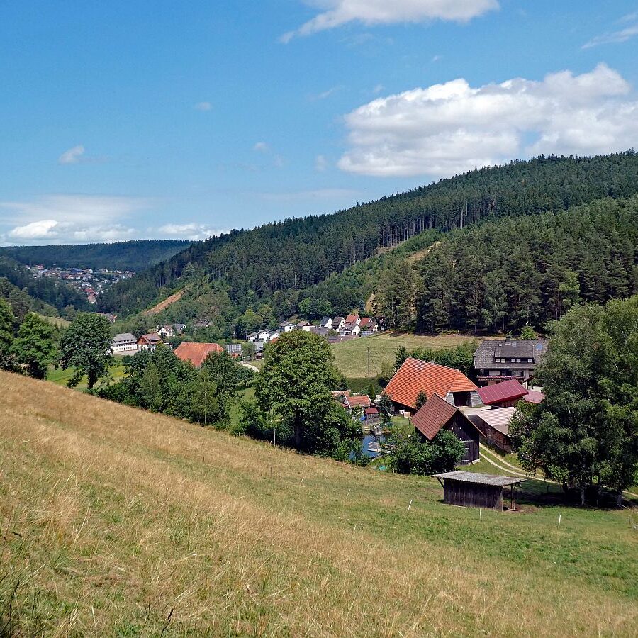 Schützen Kohlwald 03