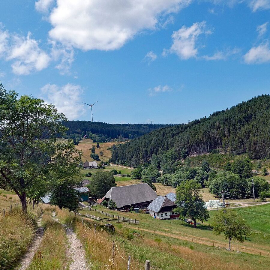 Schützen Kohlwald 04