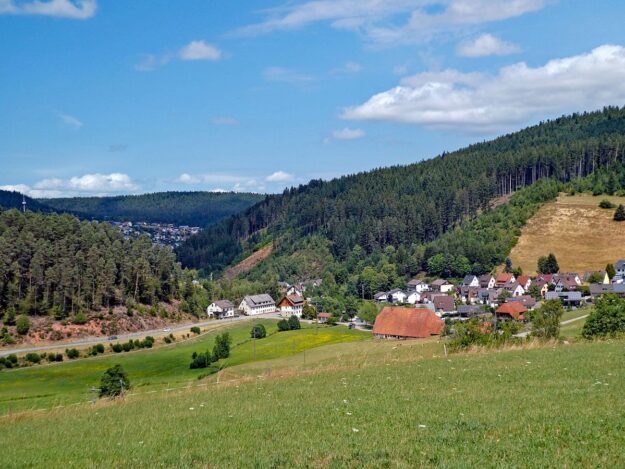 Schützen Kohlwald 05 Schützen Kohlwald 05