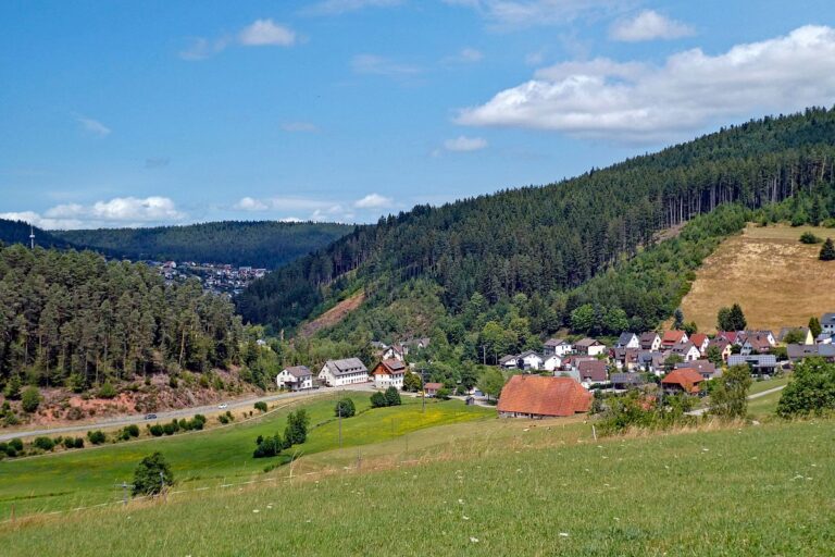 Schützen Kohlwald 05