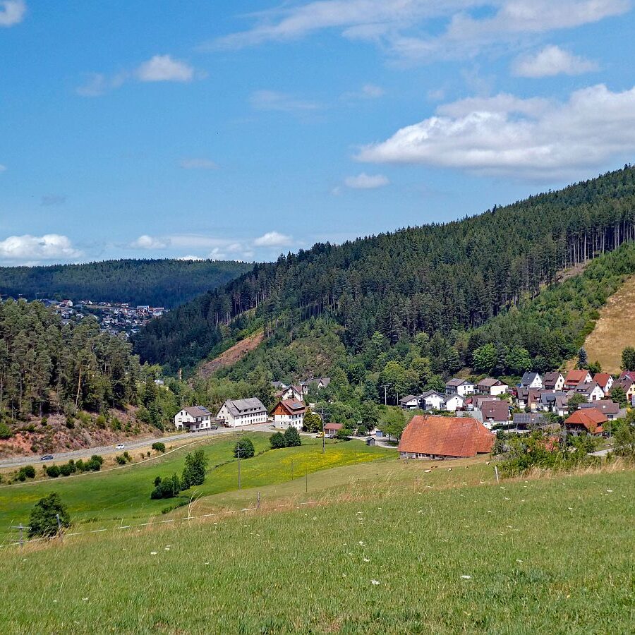 Schützen Kohlwald 05