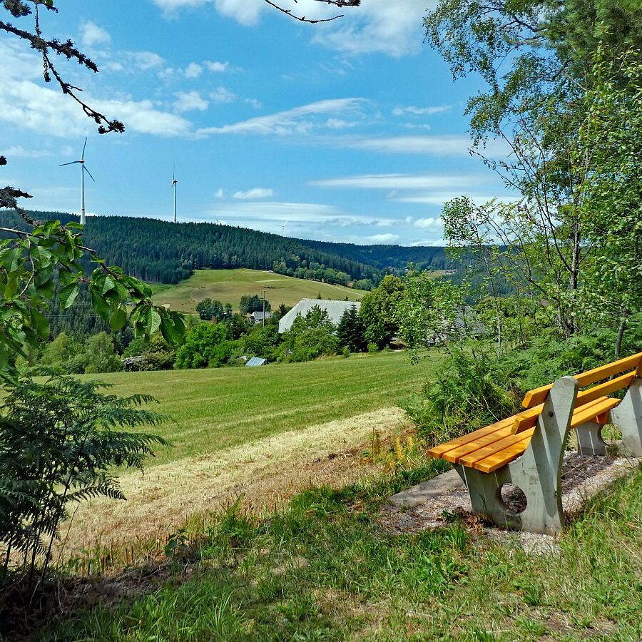 Schützen Kohlwald 06