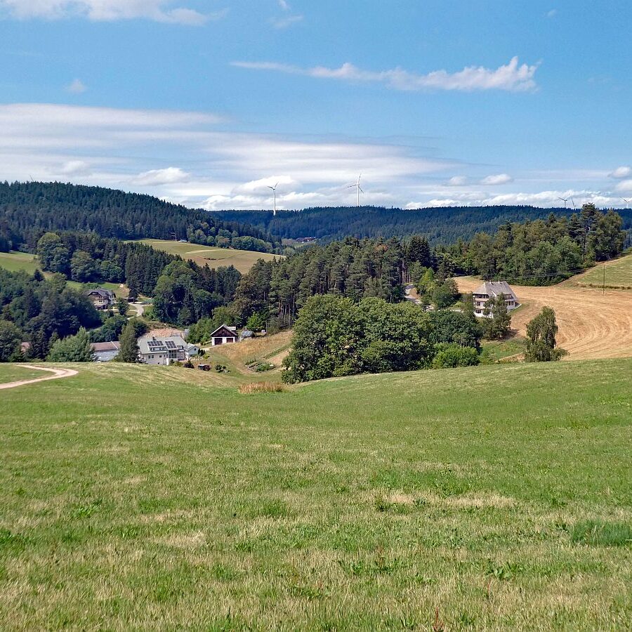 Schützen Kohlwald 08