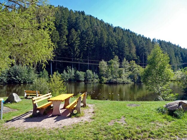 See in Tennenbronn 03 See in Tennenbronn 03