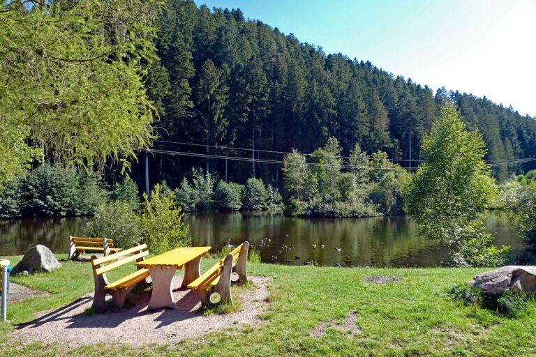 See in Tennenbronn 03