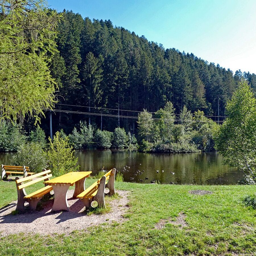 See in Tennenbronn 03