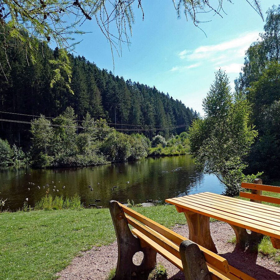 See in Tennenbronn 04
