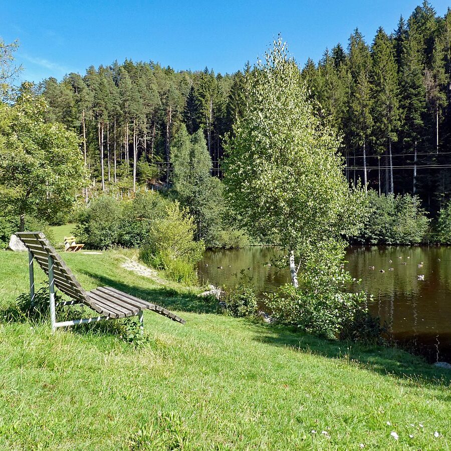See in Tennenbronn 05