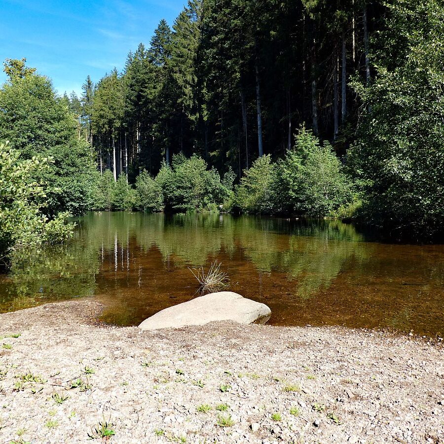 See in Tennenbronn 11