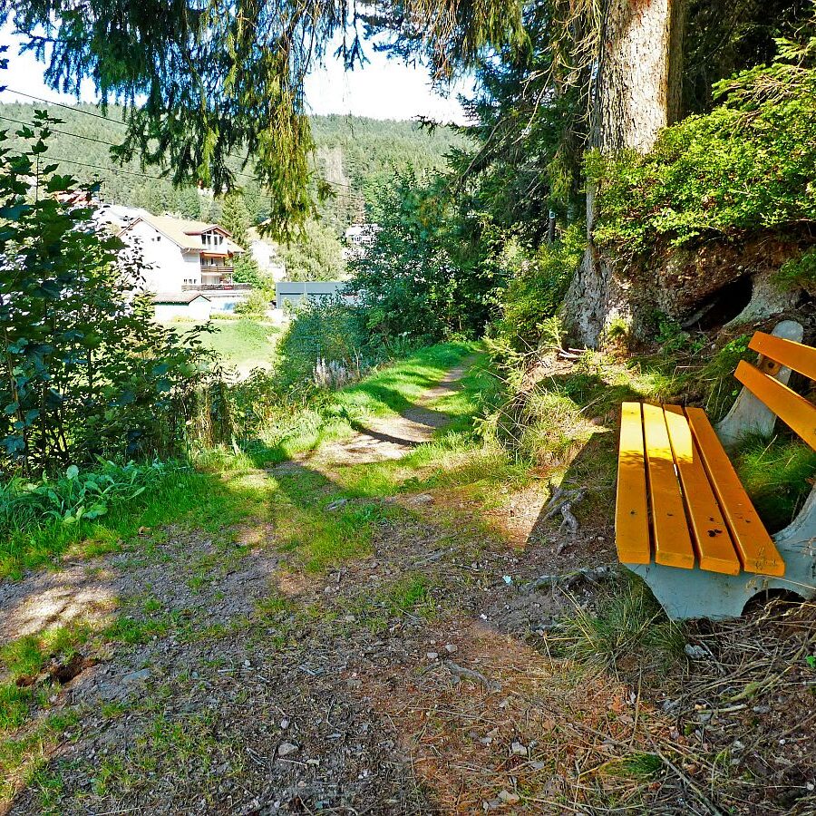 Dorfblichrunde UntermDorf Bühl Remsbach Sommermoos 02