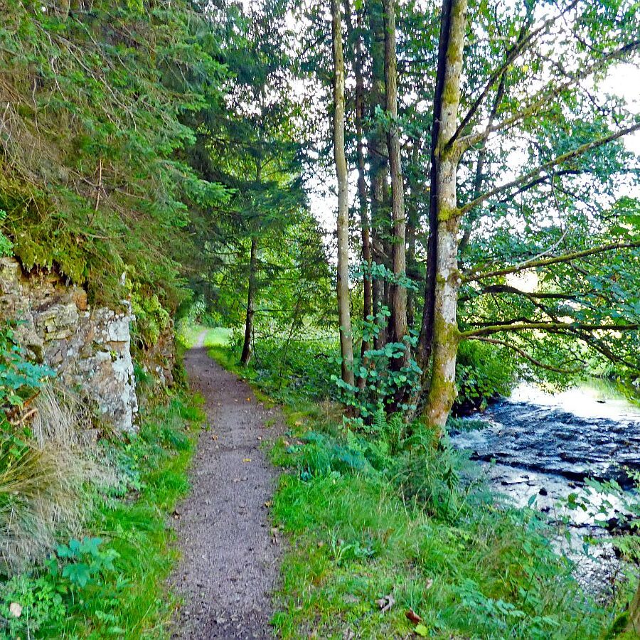 Dorfblichrunde UntermDorf Bühl Remsbach Sommermoos 03