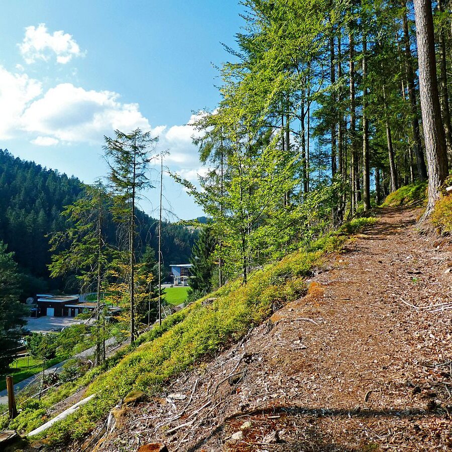Dorfblichrunde UntermDorf Bühl Remsbach Sommermoos 04