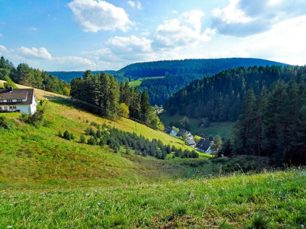 Dorfblichrunde UntermDorf Bühl Remsbach Sommermoos 05