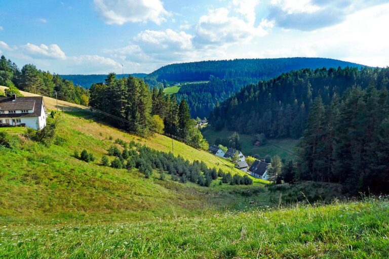 Dorfblichrunde UntermDorf Bühl Remsbach Sommermoos 05