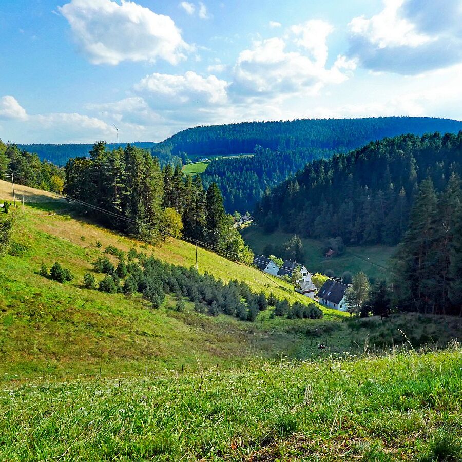 Dorfblichrunde UntermDorf Bühl Remsbach Sommermoos 05