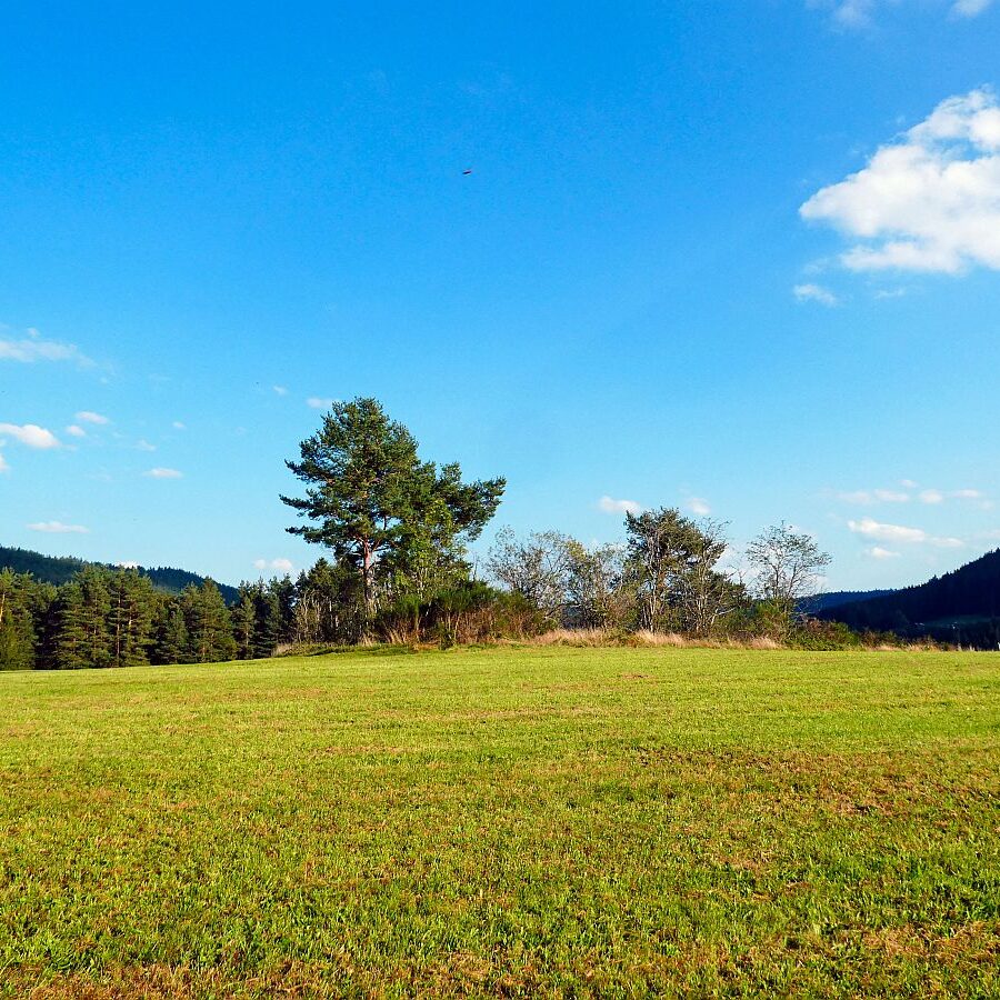 Dorfblichrunde UntermDorf Bühl Remsbach Sommermoos 07