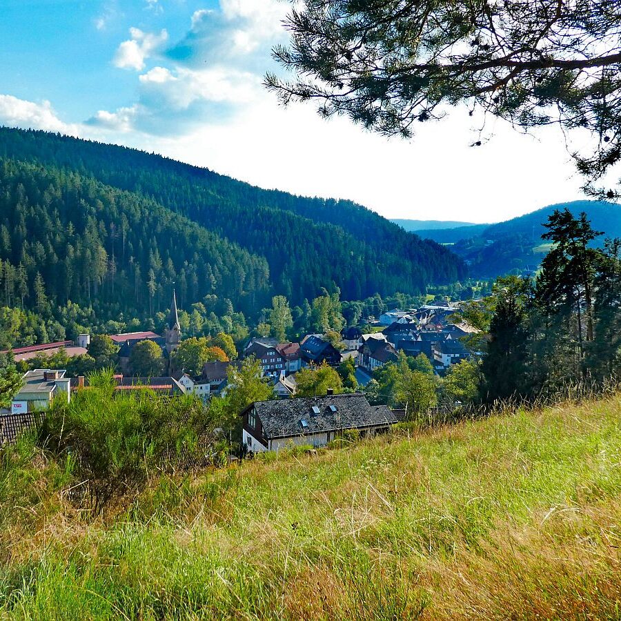 Dorfblichrunde UntermDorf Bühl Remsbach Sommermoos 10