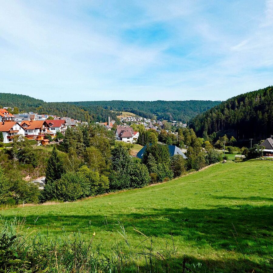 Dorfblickrunde Tennenbronn UntermWald Gersbach AufdemBerg 03