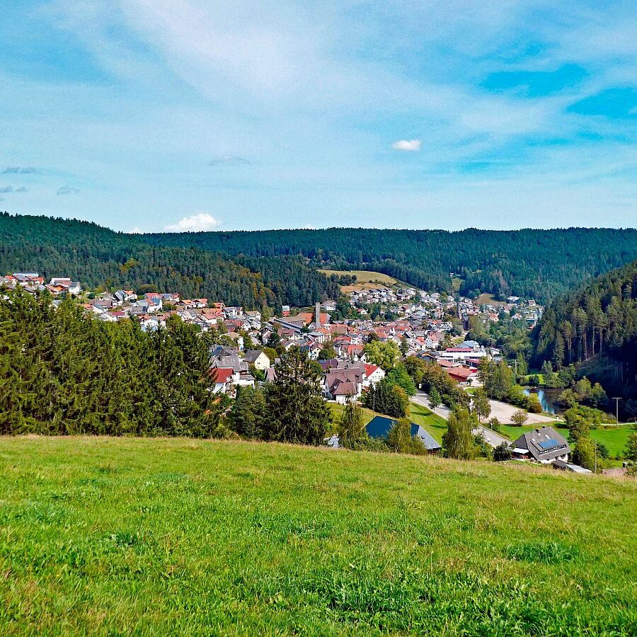Dorfblickrunde Tennenbronn UntermWald Gersbach AufdemBerg 05