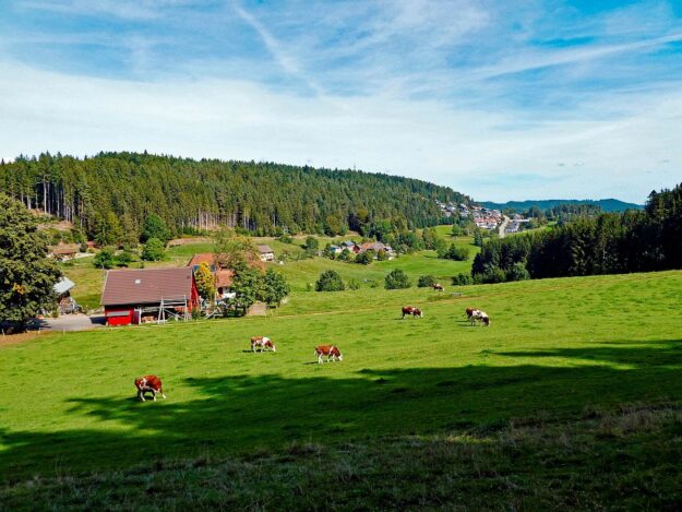 Dorfblickrunde Tennenbronn UntermWald Gersbach AufdemBerg 10
