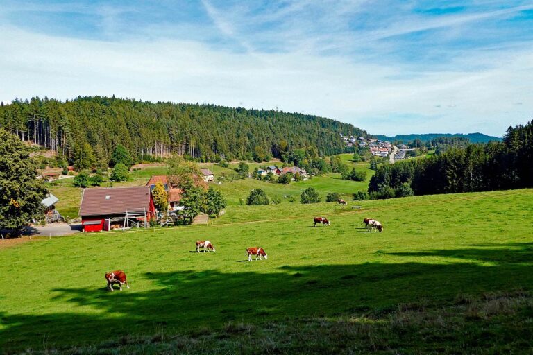 Dorfblickrunde Tennenbronn UntermWald Gersbach AufdemBerg 10