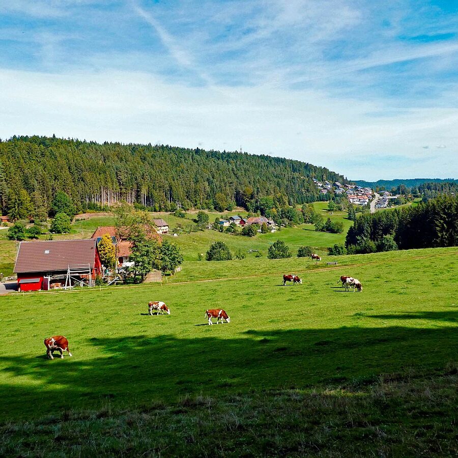 Dorfblickrunde Tennenbronn UntermWald Gersbach AufdemBerg 10