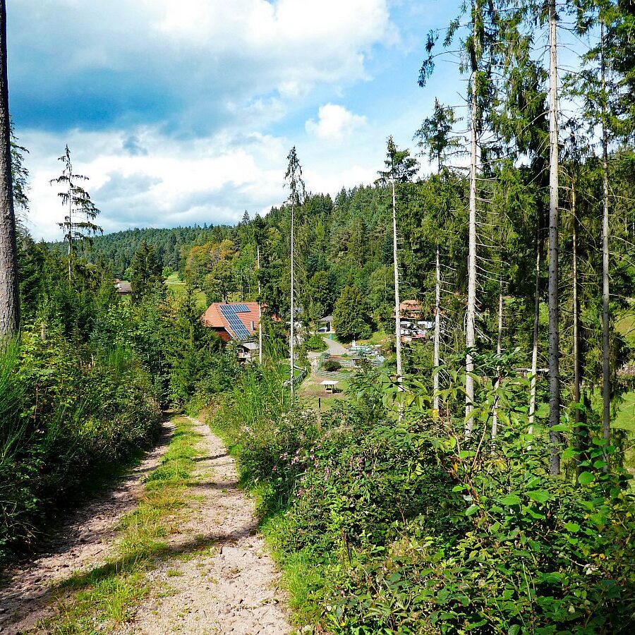 Dorfblickrunde Tennenbronn UntermWald Gersbach AufdemBerg 11