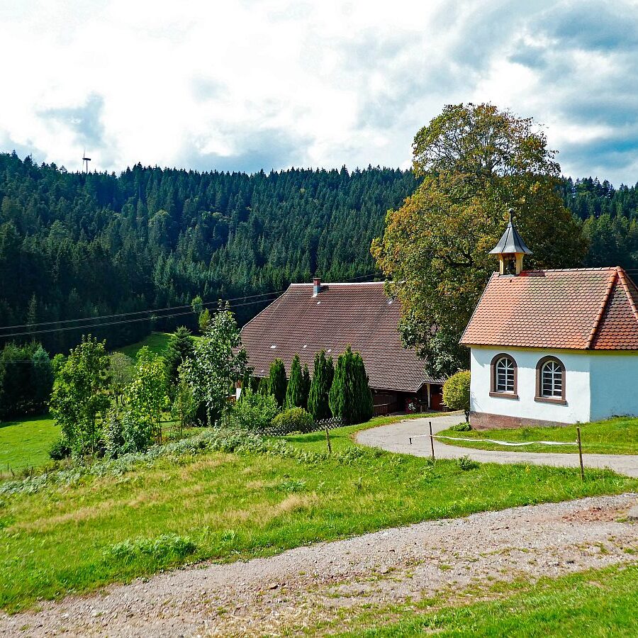 Dorfblickrunde Tennenbronn UntermWald Gersbach AufdemBerg 13