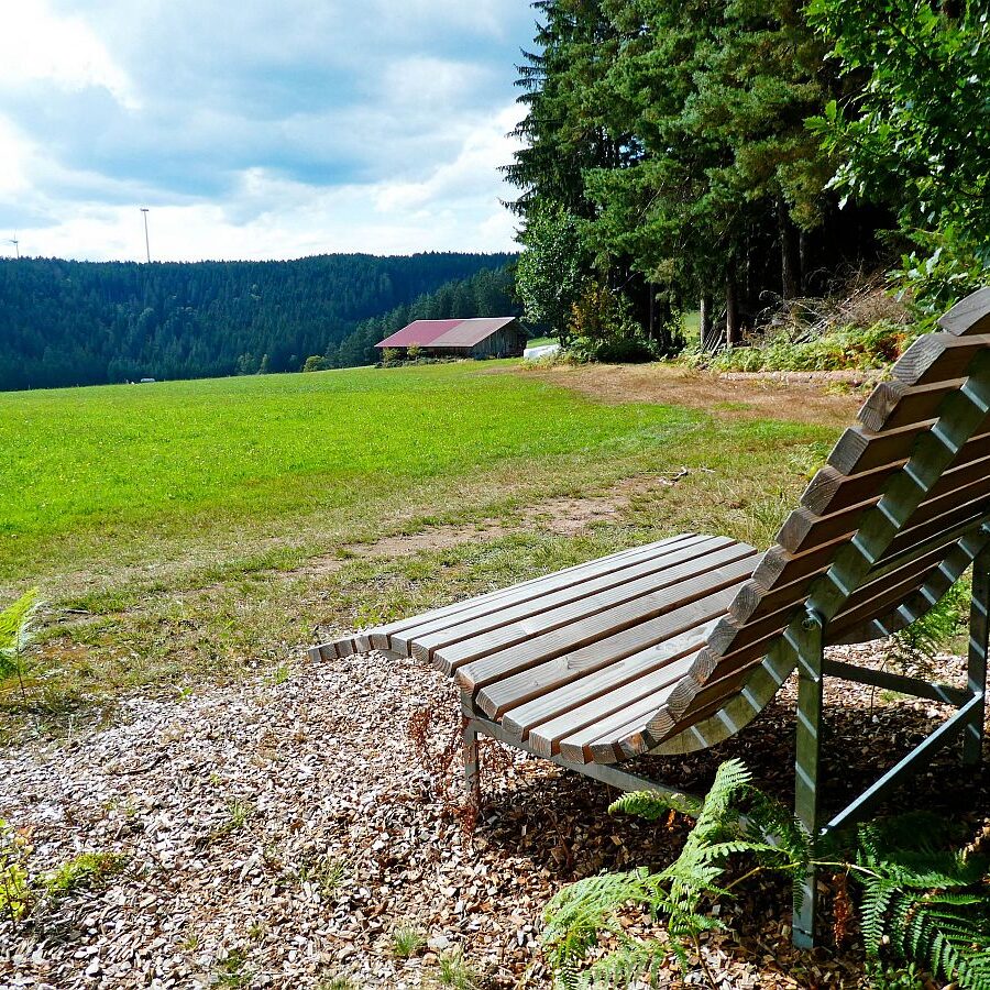 Dorfblickrunde Tennenbronn UntermWald Gersbach AufdemBerg 16