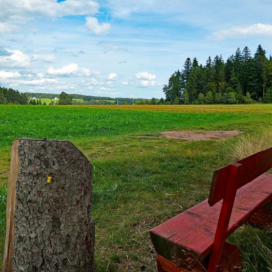 Dorfblickrunde Tennenbronn UntermWald Gersbach AufdemBerg 19