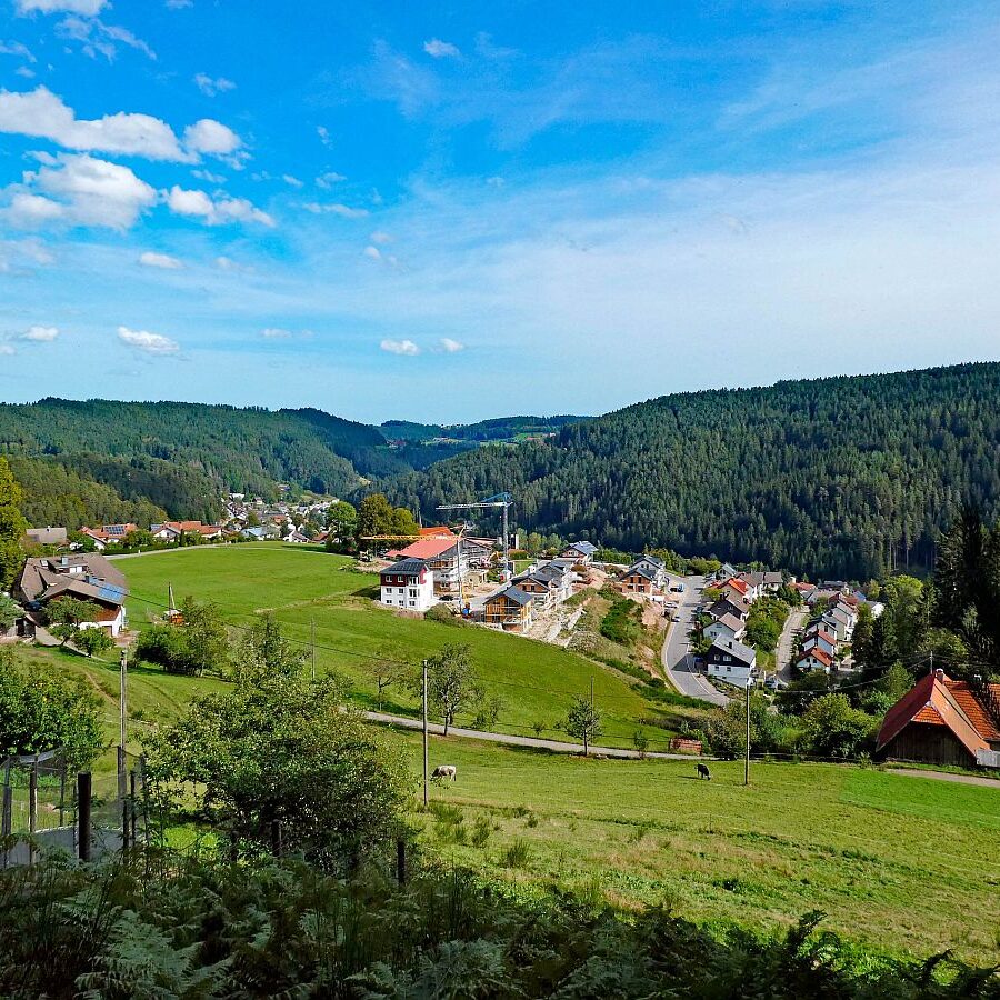 Dorfblickrunde Tennenbronn UntermWald Gersbach AufdemBerg 23